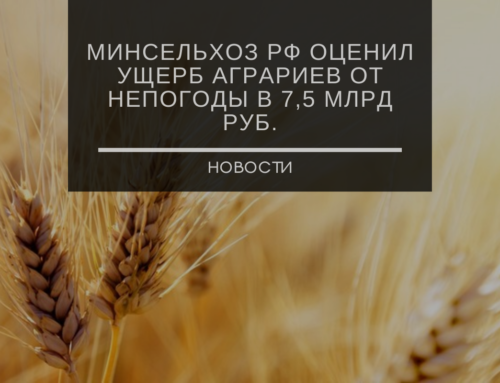 Минсельхоз РФ оценил ущерб аграриев от непогоды в 7,5 млрд руб.